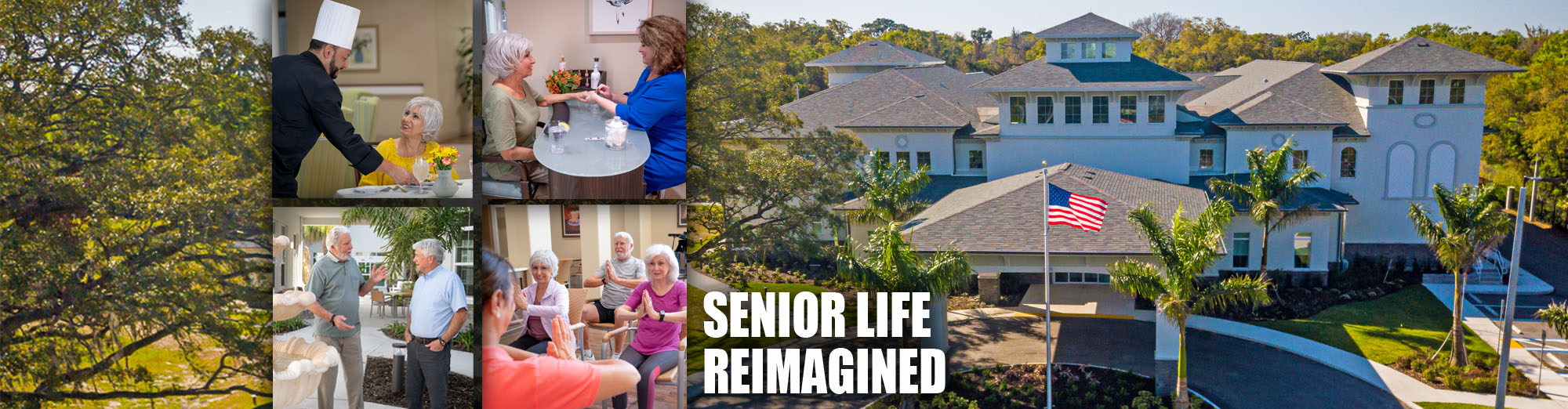 memory-care-aravilla-clearwater-senior-life-reimagined Aravilla Clearwater Memory Care - Senior Living Reimagined