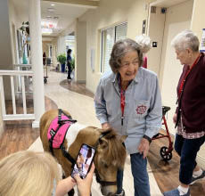 Bailey therapy horse at memory care facility