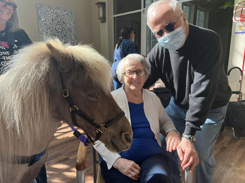 Aravilla Clearwater senior resident with therapy horse 2