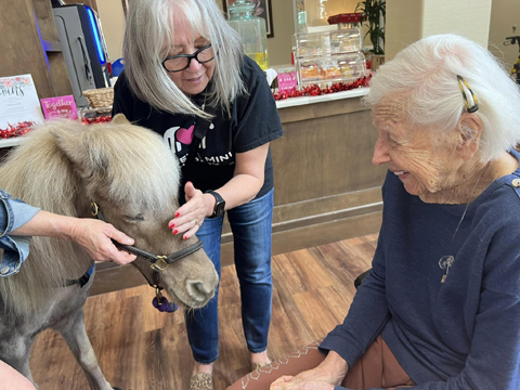 Aravilla Clearwater senior resident with therapy horse