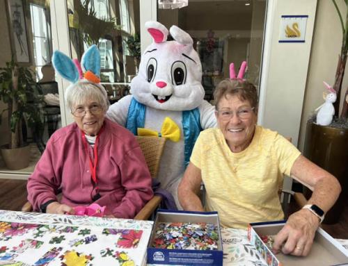 Spring, Renewal, and Meaningful Traditions at Aravilla Clearwater