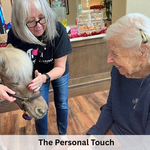 The Personal Touch – Aravilla Clearwater the personal touch