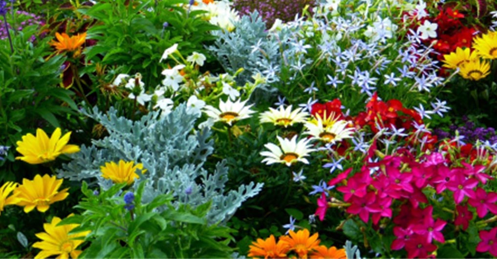 Spring renewal traditions celebrated at Memory Care Aravilla Clearwater