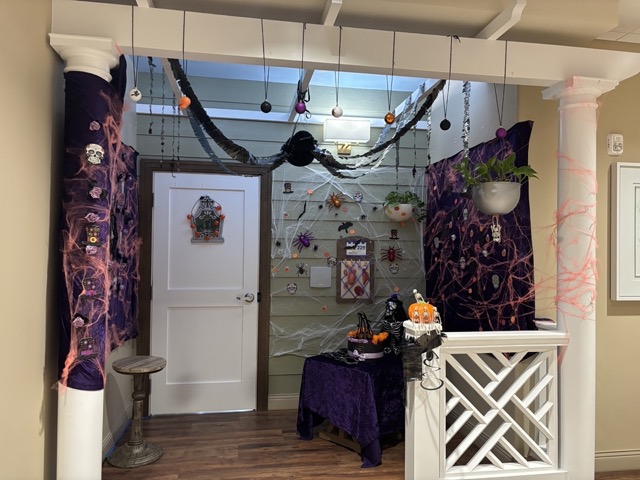 Door Contest at Aravilla Clearwater