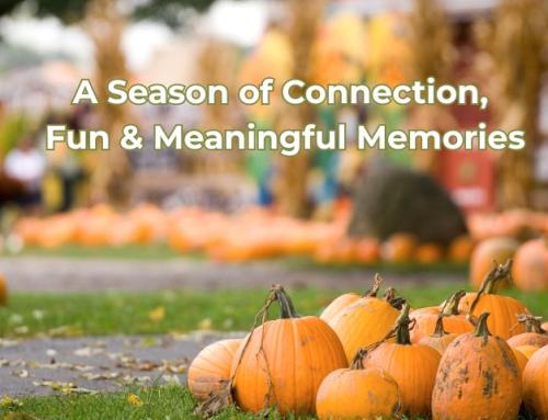 Embracing Fall at Aravilla Clearwater