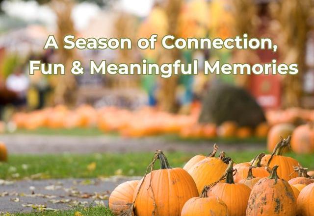 Fall Blog post Aravilla Clearwater Memory Care