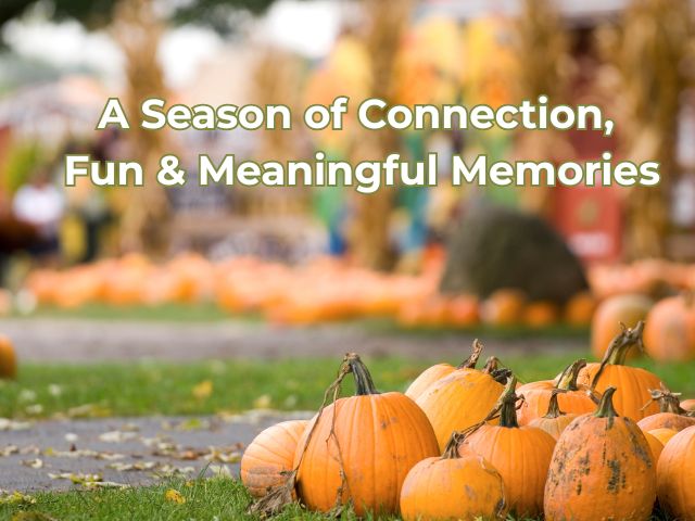 Fall Blog post Aravilla Clearwater Memory Care Fall Blog post Aravilla Clearwater Memory Care